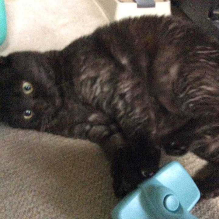 B98a70d8 2672 4968 9b16 f7fed2d95bed