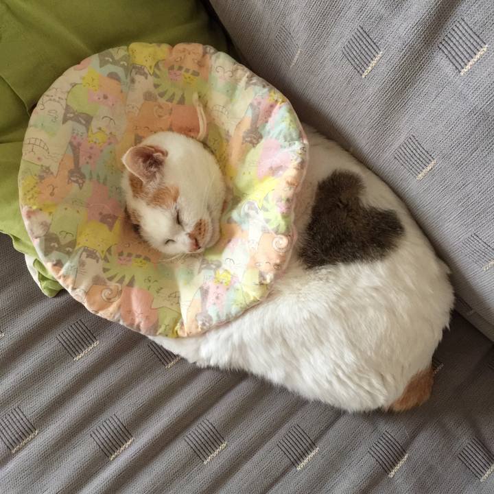 B98ad2a2 c3bd 4304 bb51 f9beb1f97bbe