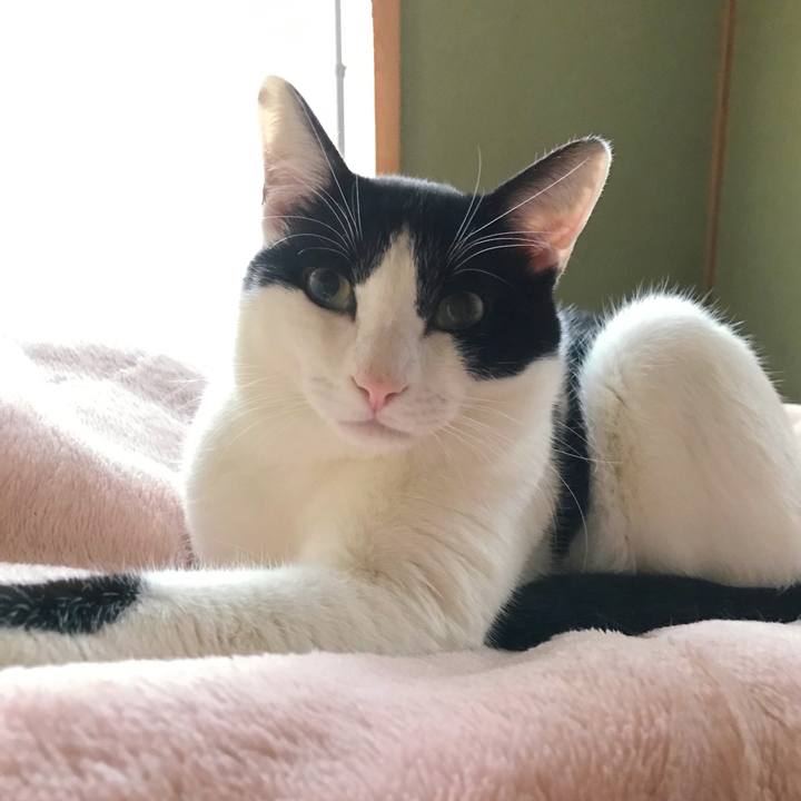 B98adf1b e9c4 4256 994c e2476f8e7cba