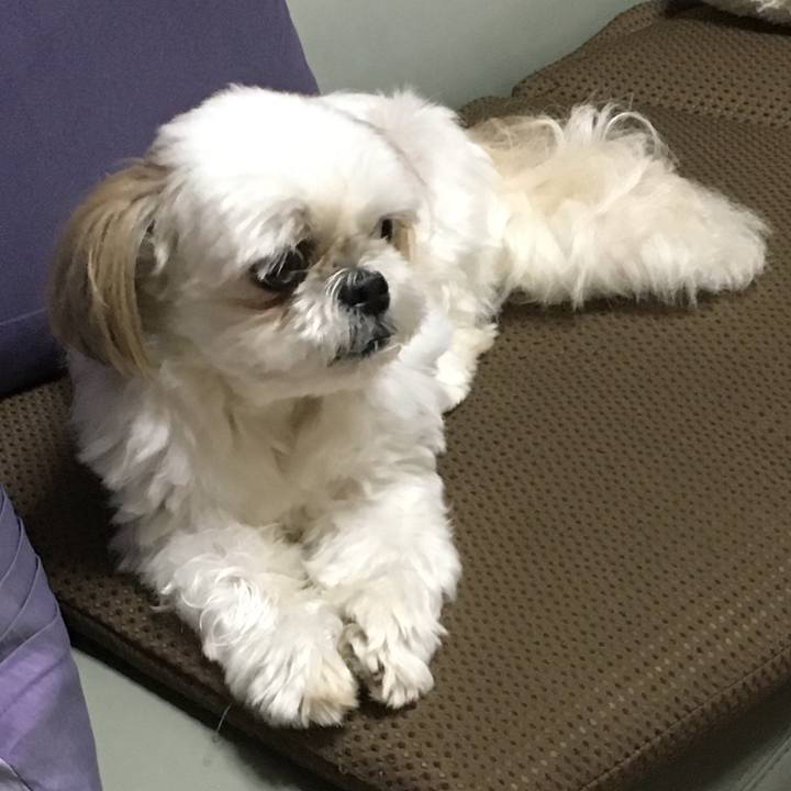 B98ae75c d39f 4722 86c4 b9a27604fd41