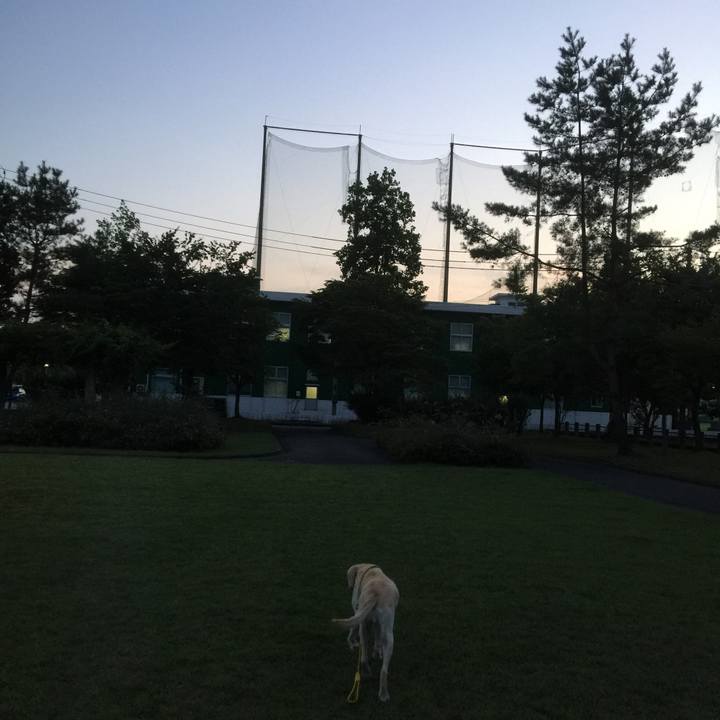 B98b2386 2053 4a2f 9d9e 270681efd12a