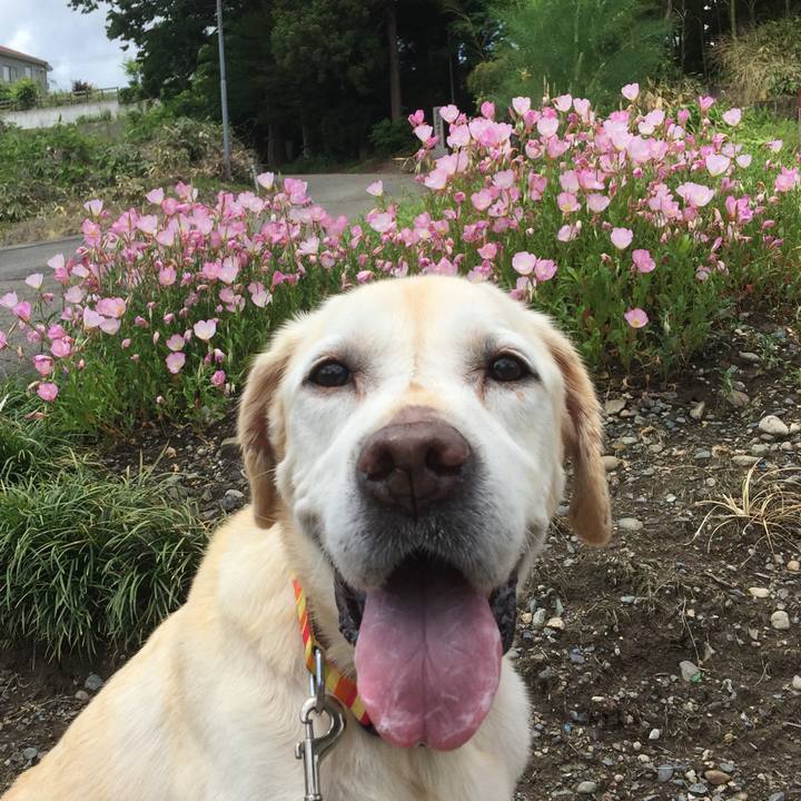 B98b6a29 06ab 4cab 9256 7583740b323f