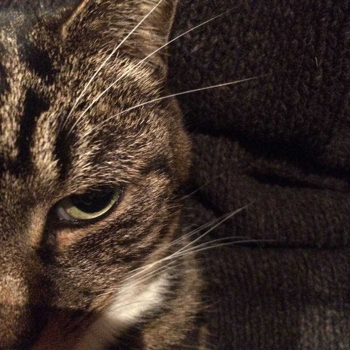 B98c0329 d5c2 4536 a233 c3d67f23a393