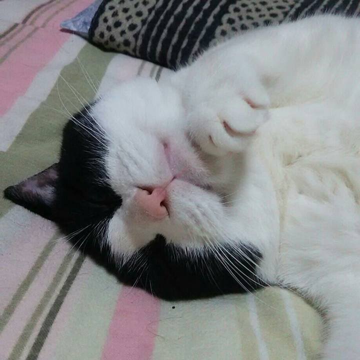 B98c5434 7418 460d 8599 498fc67a29fd