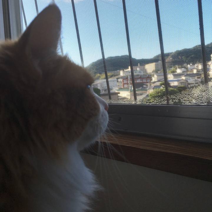 B98ca70d 113b 4de3 b864 77bbfb1696e9