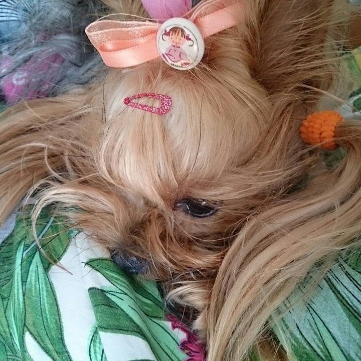 B98cb399 1bc1 4cc3 86ce 3e4f2751d61e