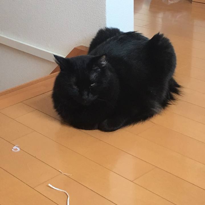 B98cc110 9145 4f99 a082 8be46a58b70d