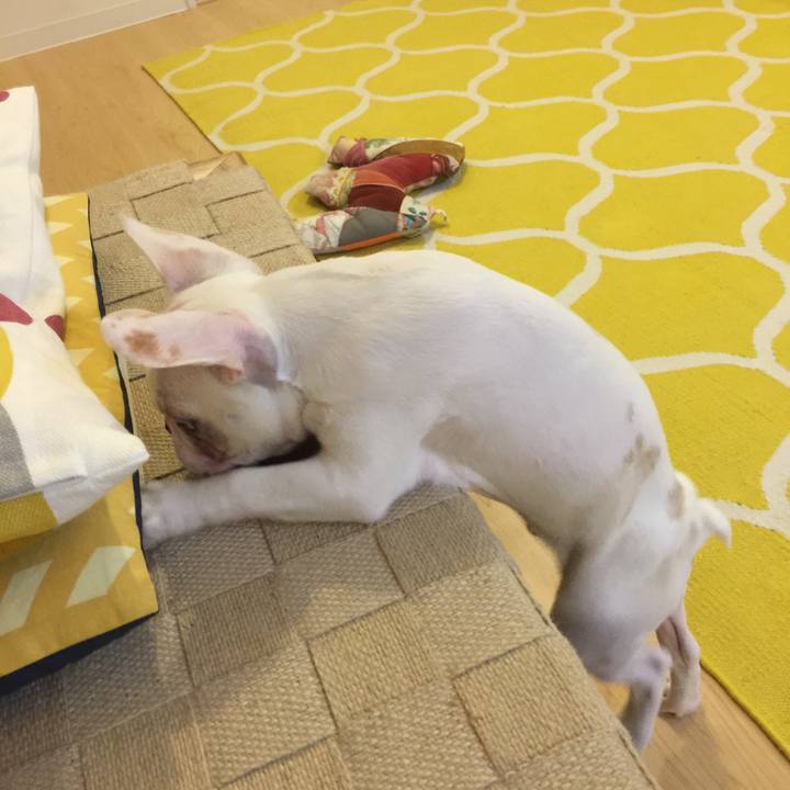 B98cc99e ca7f 4552 b7f2 a9a302c31f1b