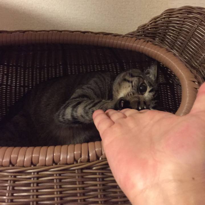 B98d0e66 0cf2 418c 8570 a891b26d968d