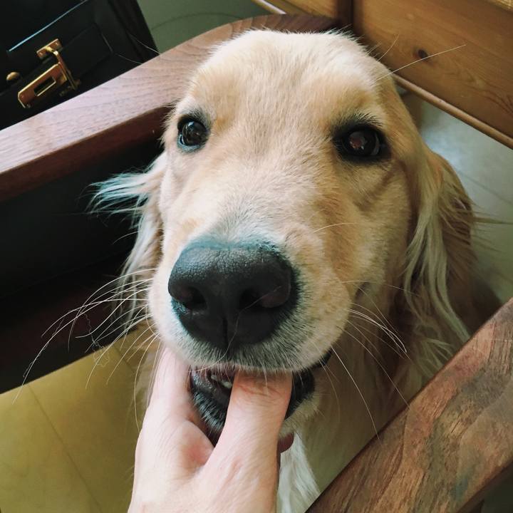 B98d42a3 948f 49a1 abec c48357846146