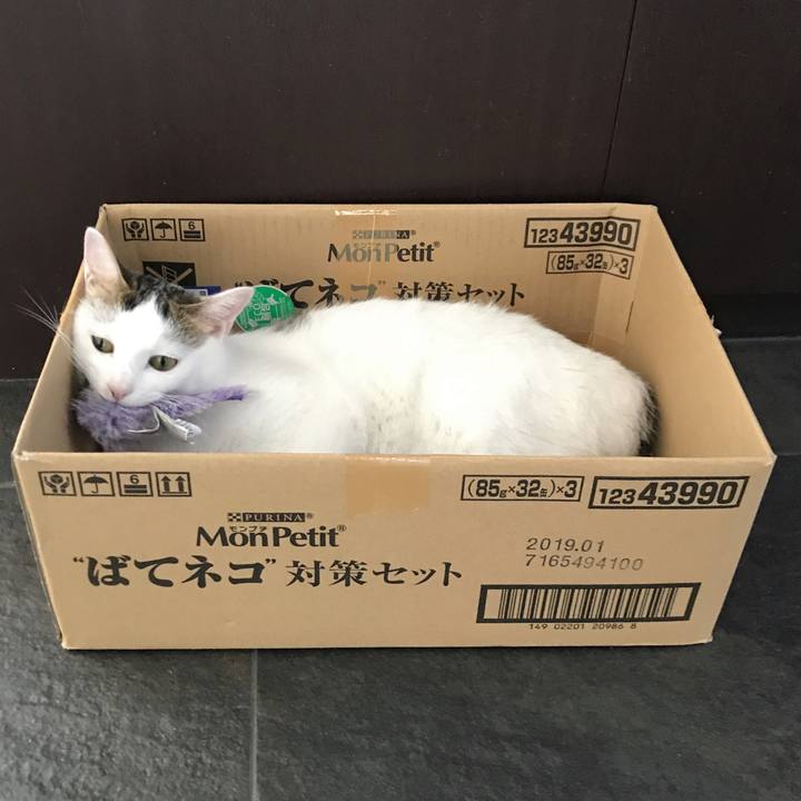 B98e0708 0ef1 49a6 997a 20536b5dc375