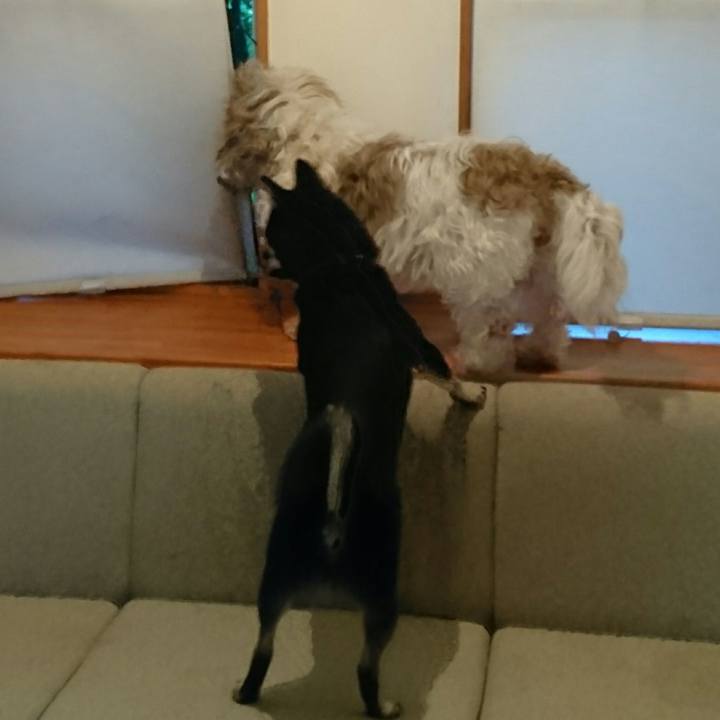 B98e54fe 9912 4640 875f 58893a15bd10