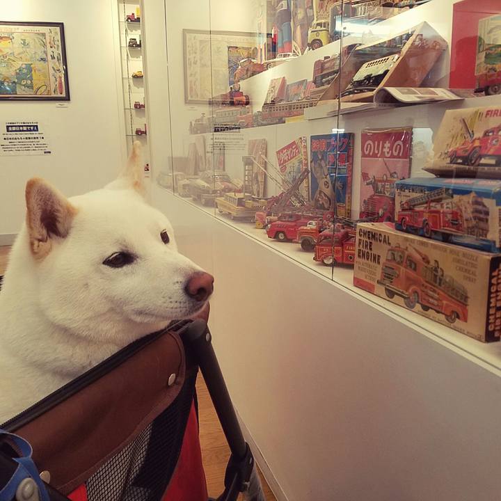 B98e6408 2e21 4138 9993 5dc038c309c7