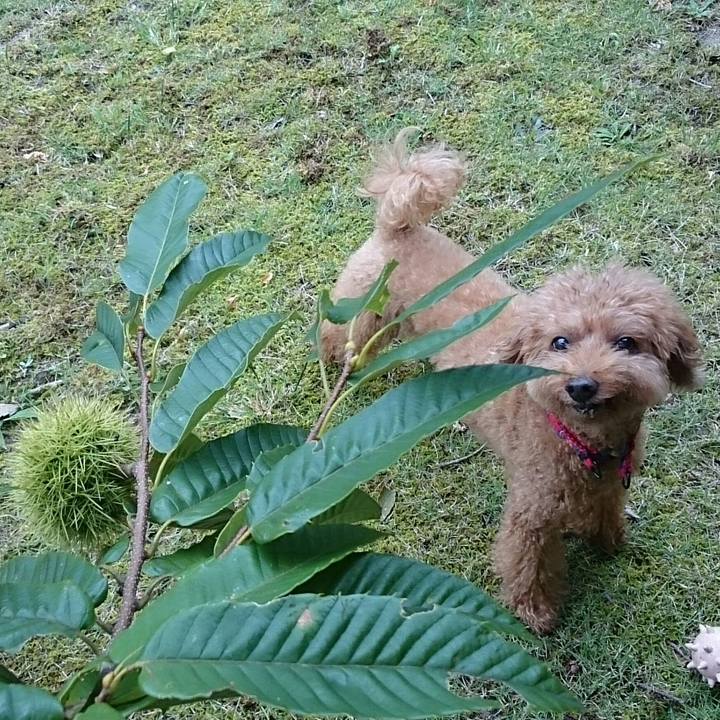 B98eabb9 094d 4b84 935f 3e939d6ac712