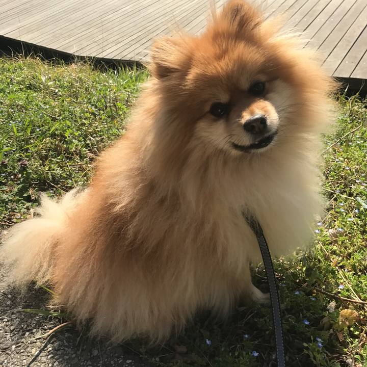 B98f65fb 094a 4c8e a845 2452d94b66a0