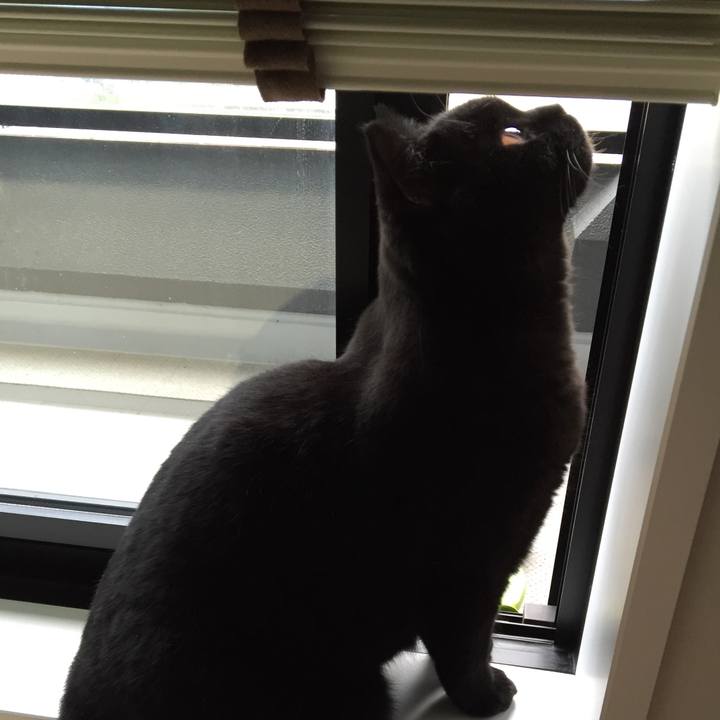 B98fbb00 98cc 4836 ae76 5195d9d1e703