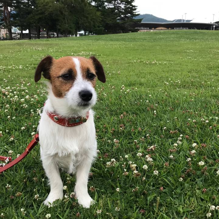 B98fdf73 6b50 440e b977 da1c4c2a9d68