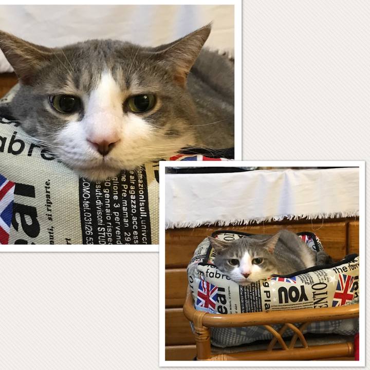 B9902659 7276 4e65 8f58 aafca9358565