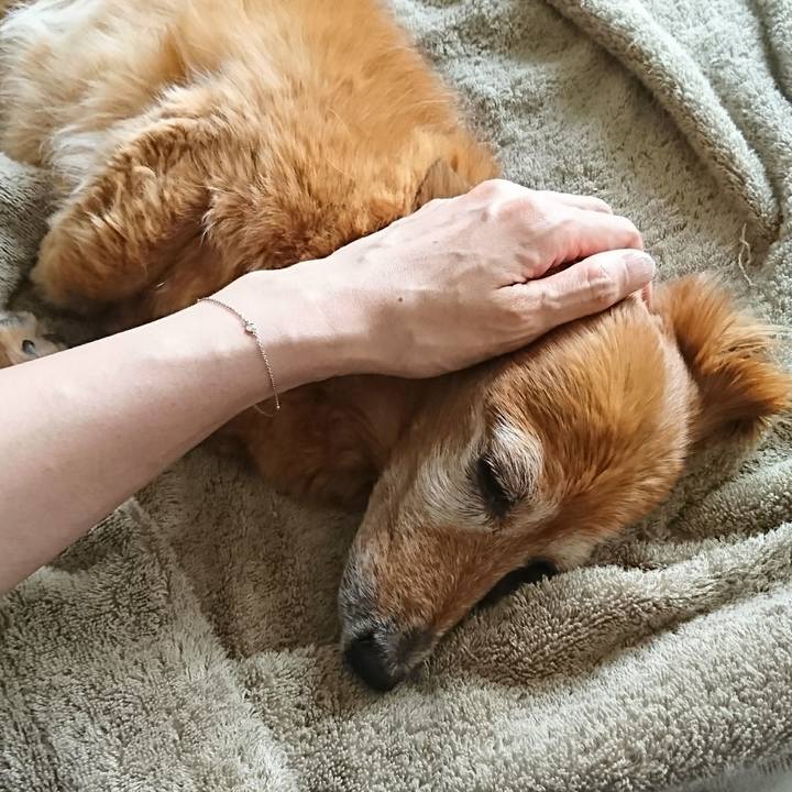 B990273f 7941 4952 aca7 50378d063f14