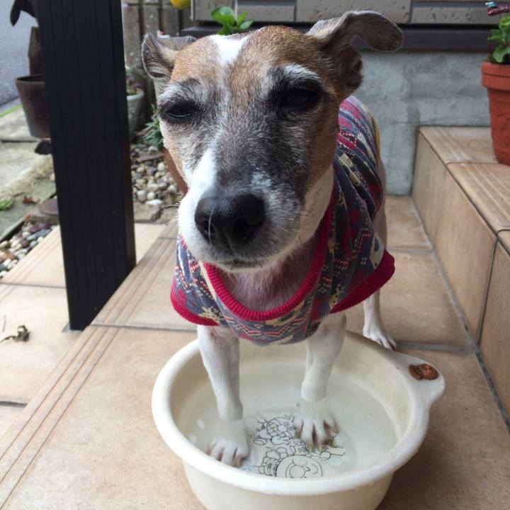 B990813b 831e 41c1 8305 da9bd5926ce8