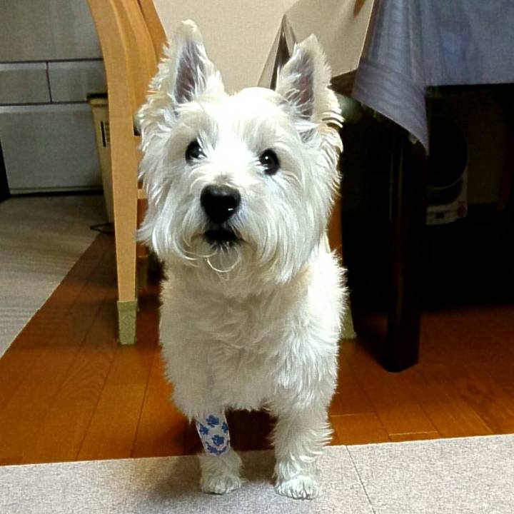 B990defd cf8a 4341 aabd e9302c698cf3