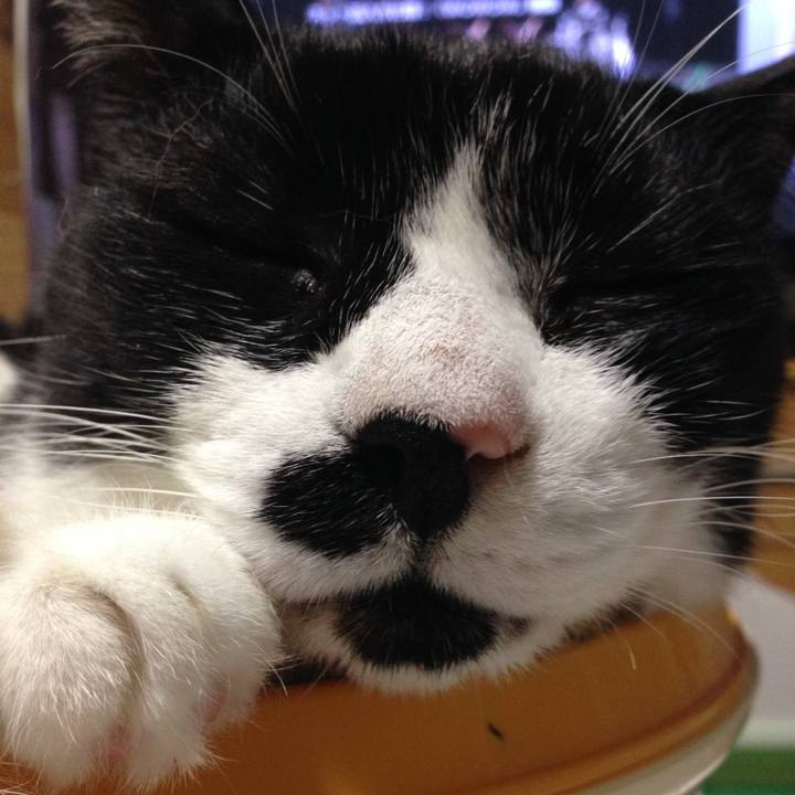 B9915be6 6101 4f04 8f6e 3536be0124d0