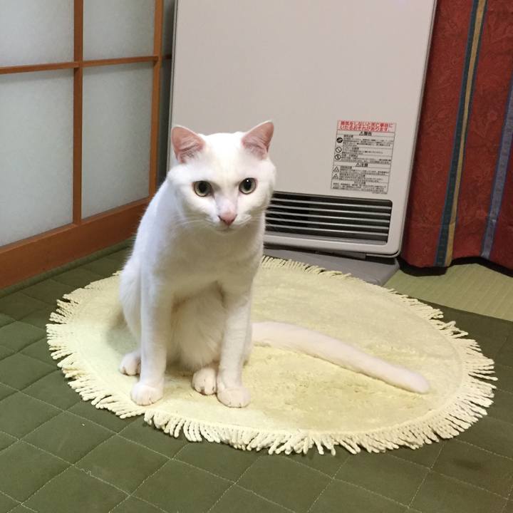 B9915c52 79bc 40d5 a15e b7eafdabddfb