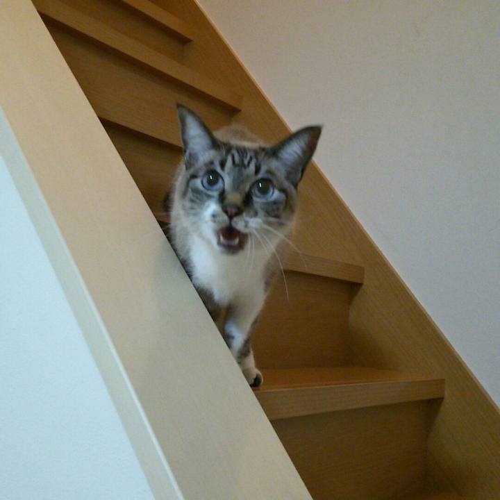 B991b9e2 f9d8 4b84 a308 c2f5f85750cc