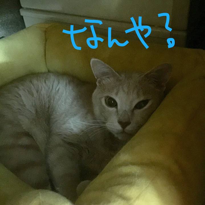 B992edaf c5a6 410b b1b5 667fd69d769c