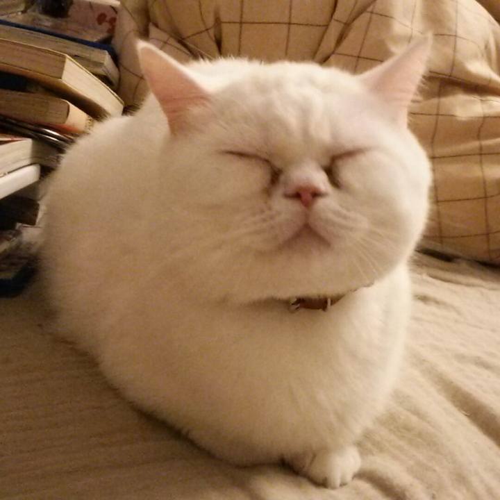 B993083b 1b42 458e a328 07b5e1378a7e