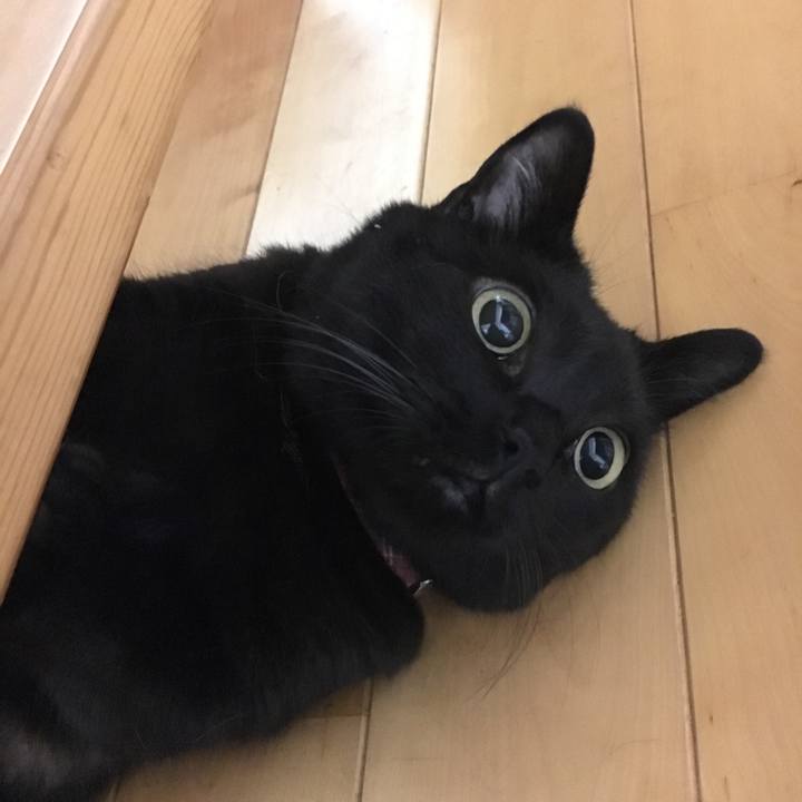 B99364aa 40f3 4c17 a665 a74ee790ec71