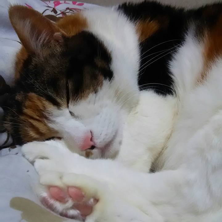 B993ce5d 26a5 40ca a611 f0defc15566b