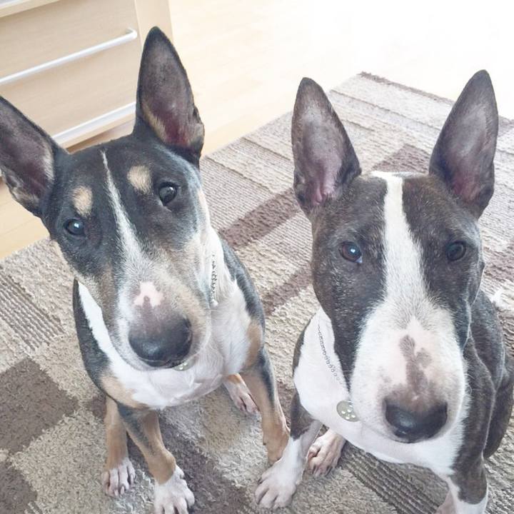 B993d67d 340f 4104 b2fa e8d8967ce19a