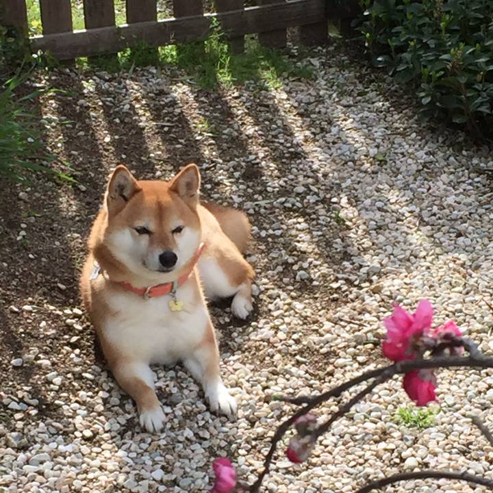 B99571a4 7c60 470b a102 8c79b61f2b74