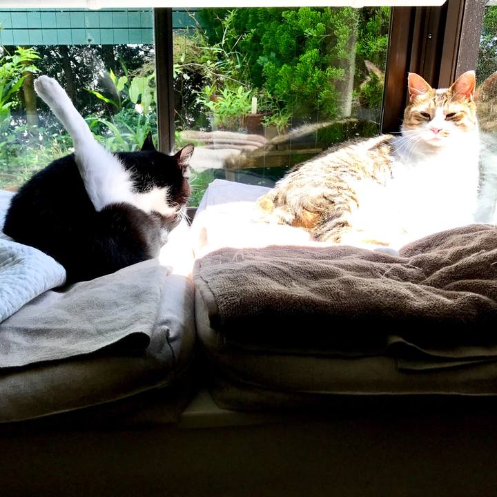 B9967e64 a277 4f1d 8a63 53e7f6c16f55