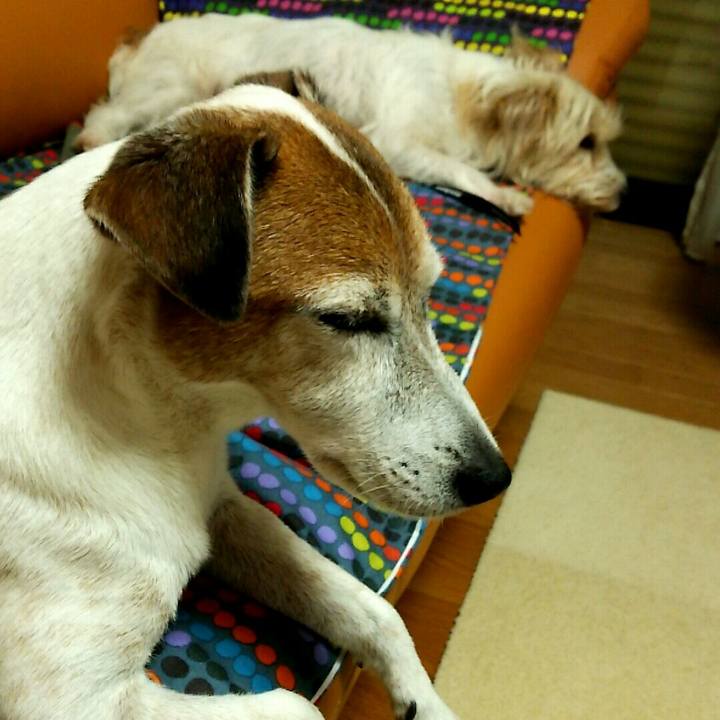 B99732a9 31b3 430c a6cf 24761f4d5182