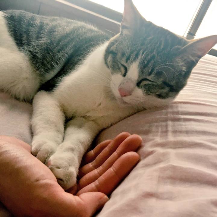 B997b7af 2d83 4d78 ace8 3a48b67bb39e