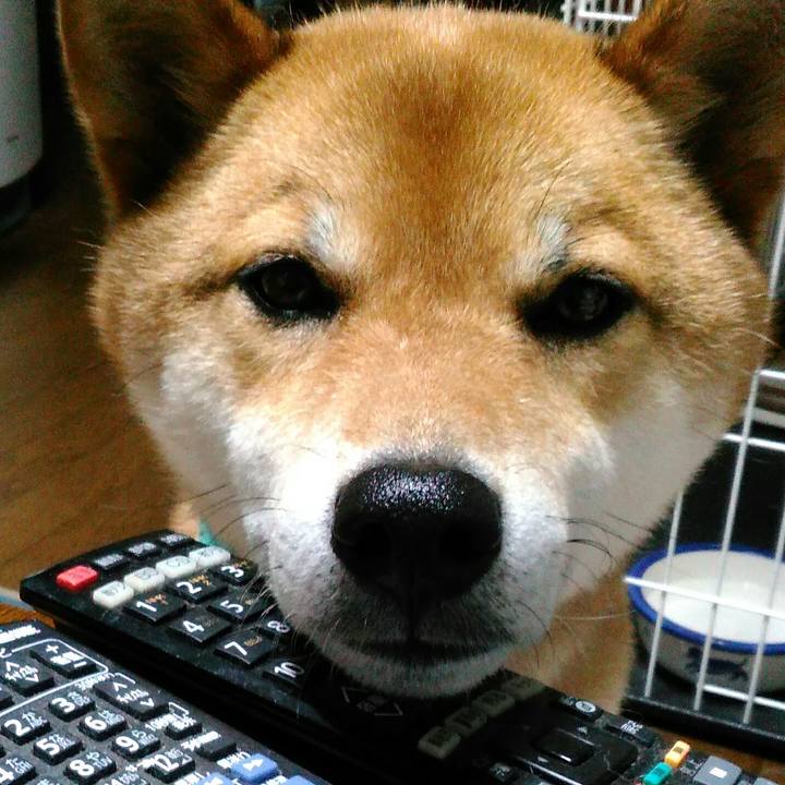 B998198a 7d24 4523 8e1f 711dbb34d15a