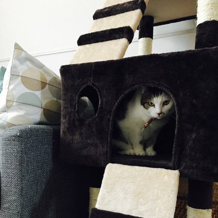 B998520b e179 4d74 bf2b f095b1e667fa