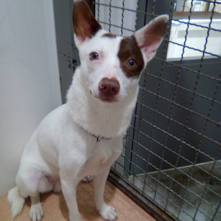 B99852cb f06c 4e26 b77d cf81b8275fce