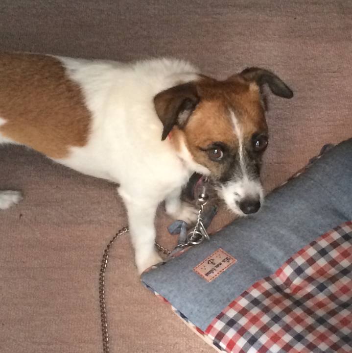 B998af77 4bf3 4ae1 9528 ebf0d48f4b13