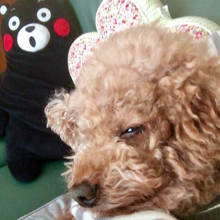 B998e584 7f61 4c1f 860d 5a5a9225d2c2