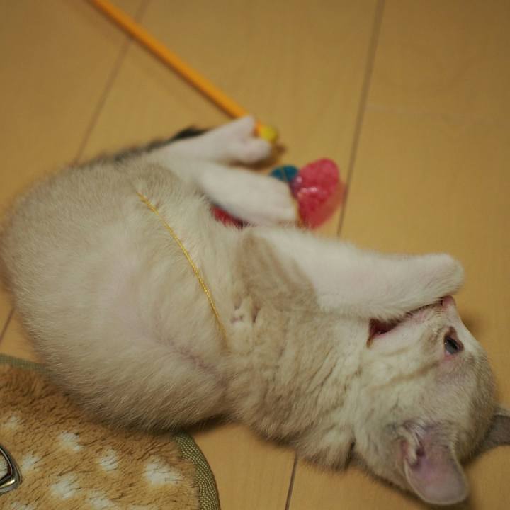 B99904e2 9907 40f1 a84f bfc66faaff76