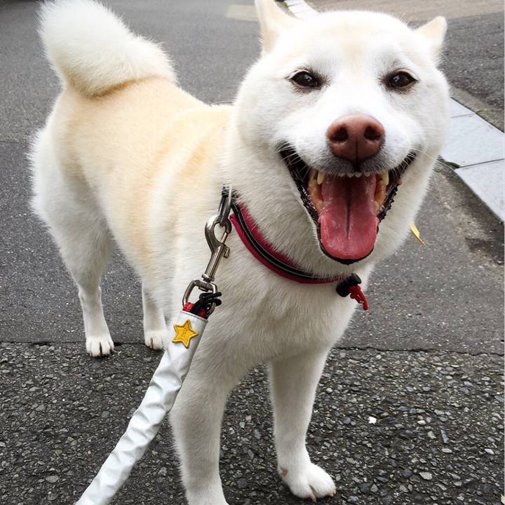 B9990b03 10da 4c39 ac4a 45e541df915c