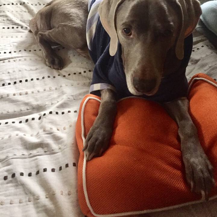 B99a0951 94b6 4cb6 99c5 a7b84f4fa7b9