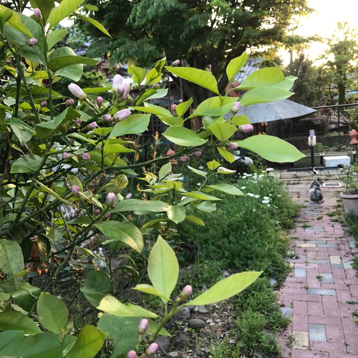 B99abdc4 135e 4e2a a546 18f26994cf62