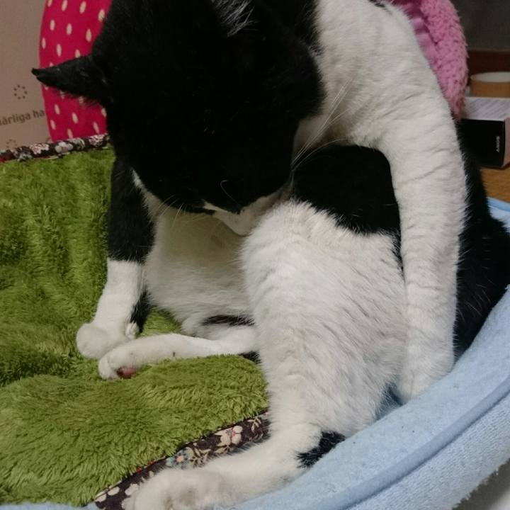 B99b1b5f 86b8 4f88 b471 c13453251bfa