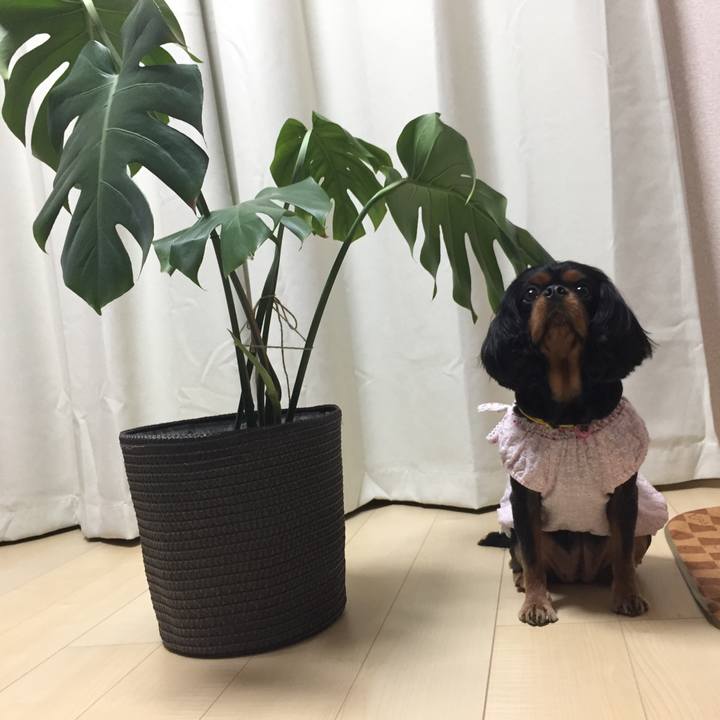 B99bf31a 7924 46e2 b47e 16f8676e0e6e