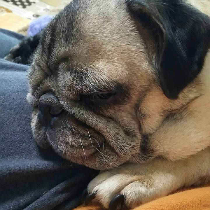 B99c8b79 4cea 4bc1 af81 c9199dc907d0