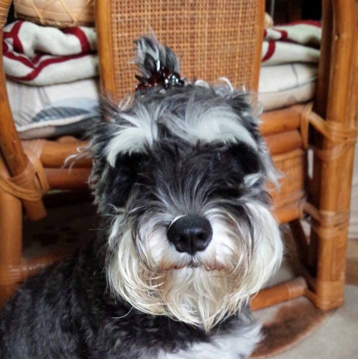 B99c947a a93f 4887 837f 23cd269323e9